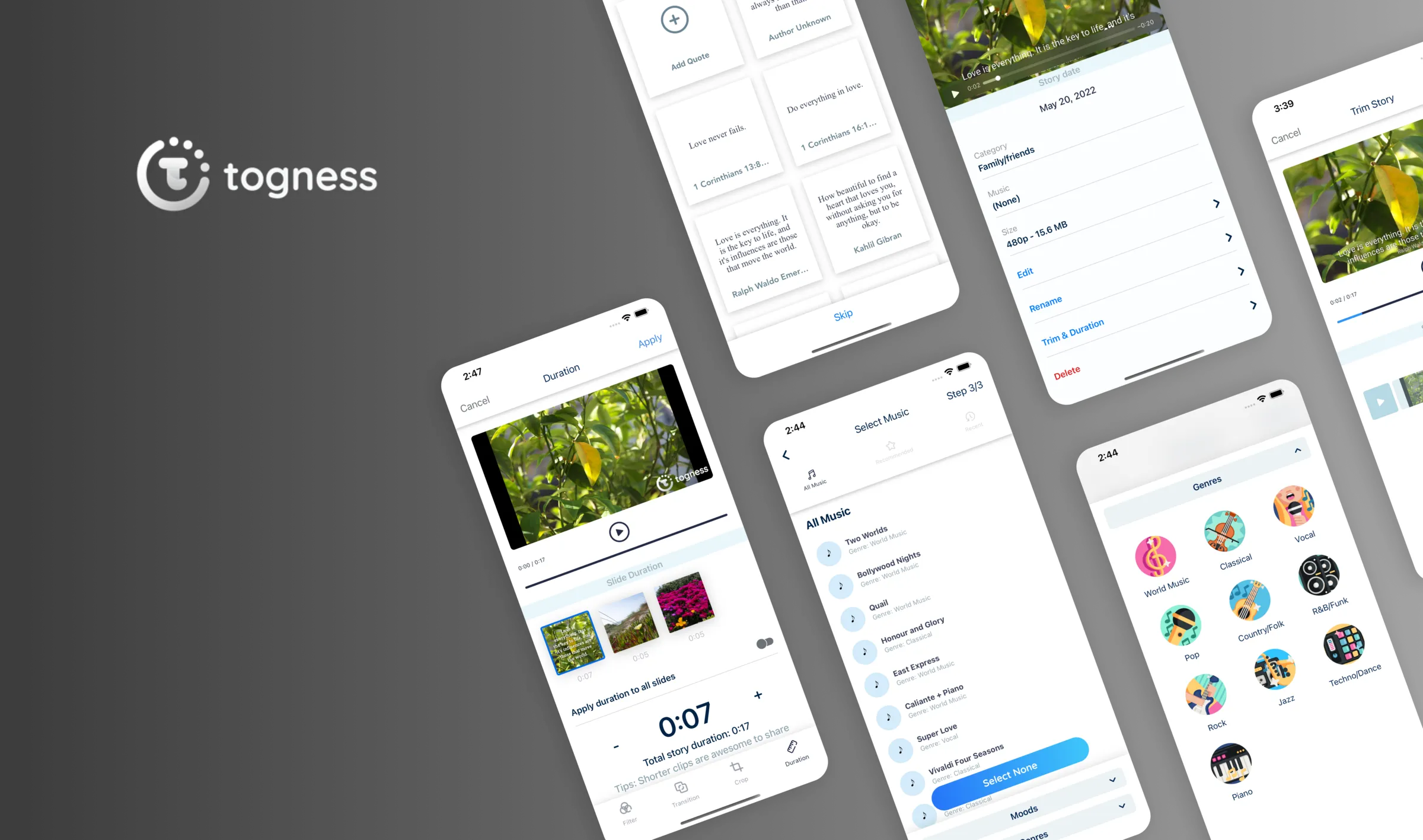 togness-branding-screens